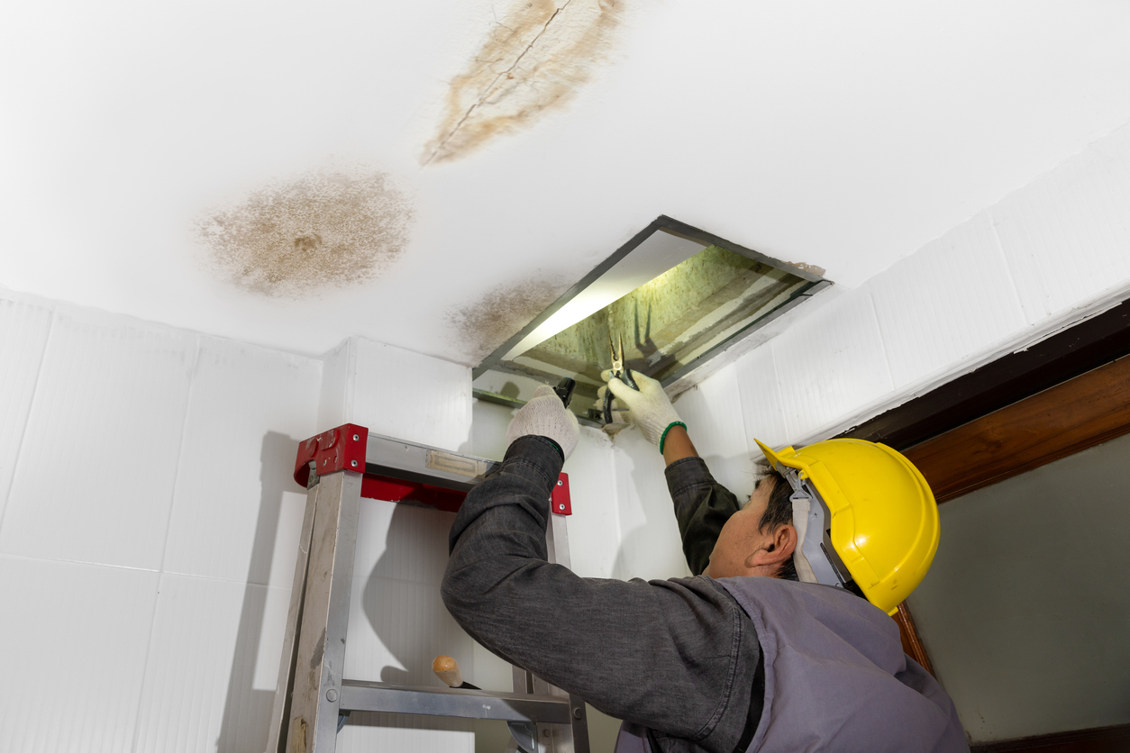 Preventing mold growth from water-damaged ceilings.